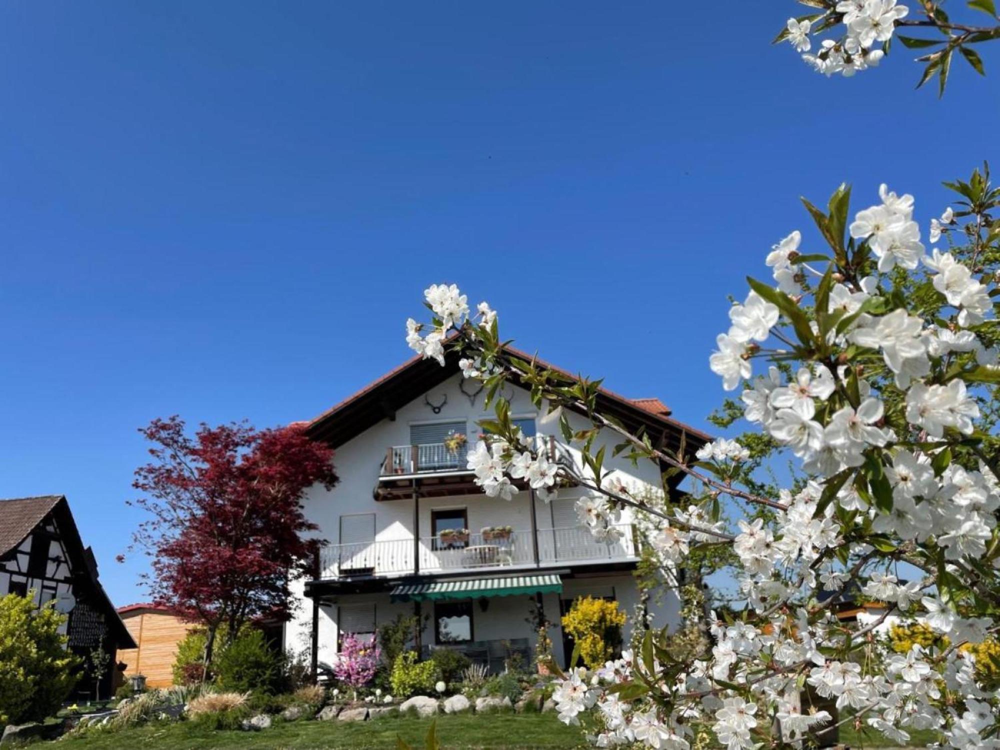 Bergchalet Mirabell - Hofgut Friedrichshafen Exterior photo